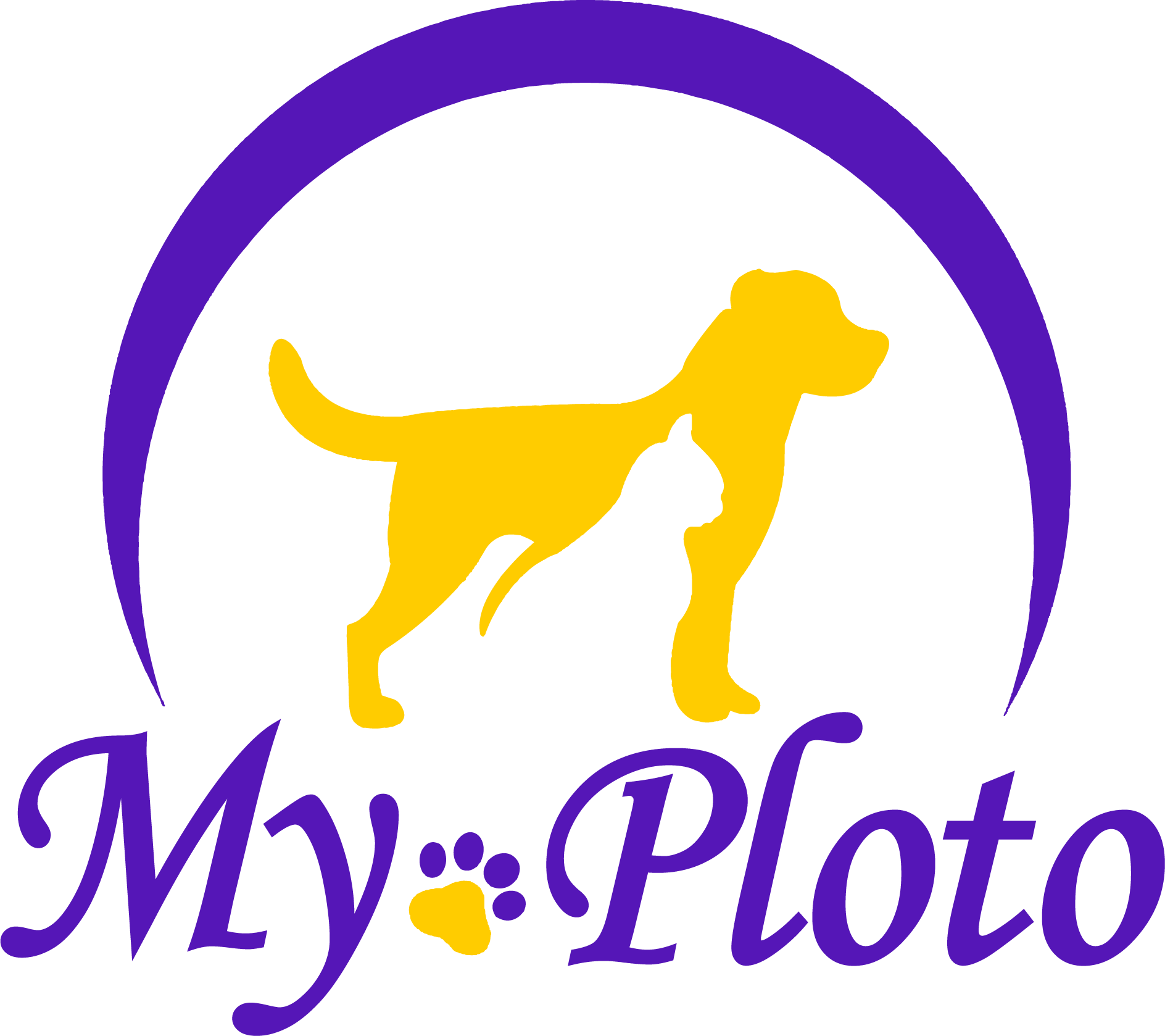 MyPloto Login MyPloto Login